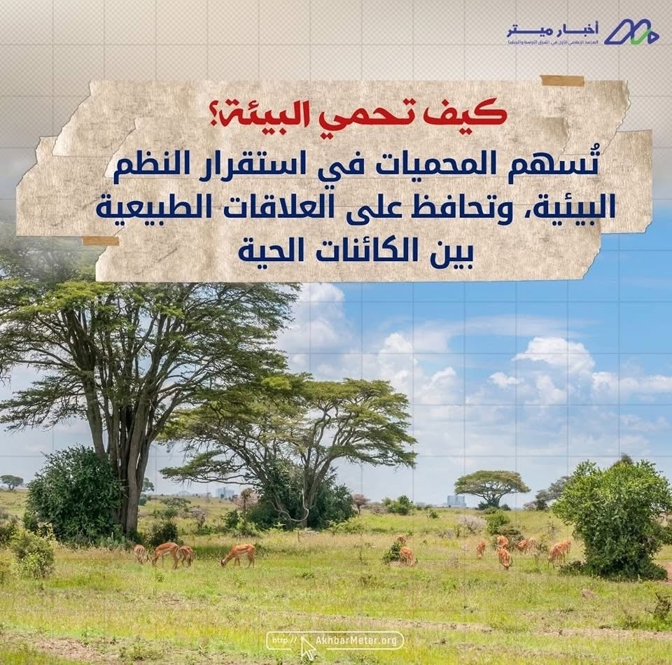 حين تتحدث الطبيعة بصوت هادئ... داخل المحميات