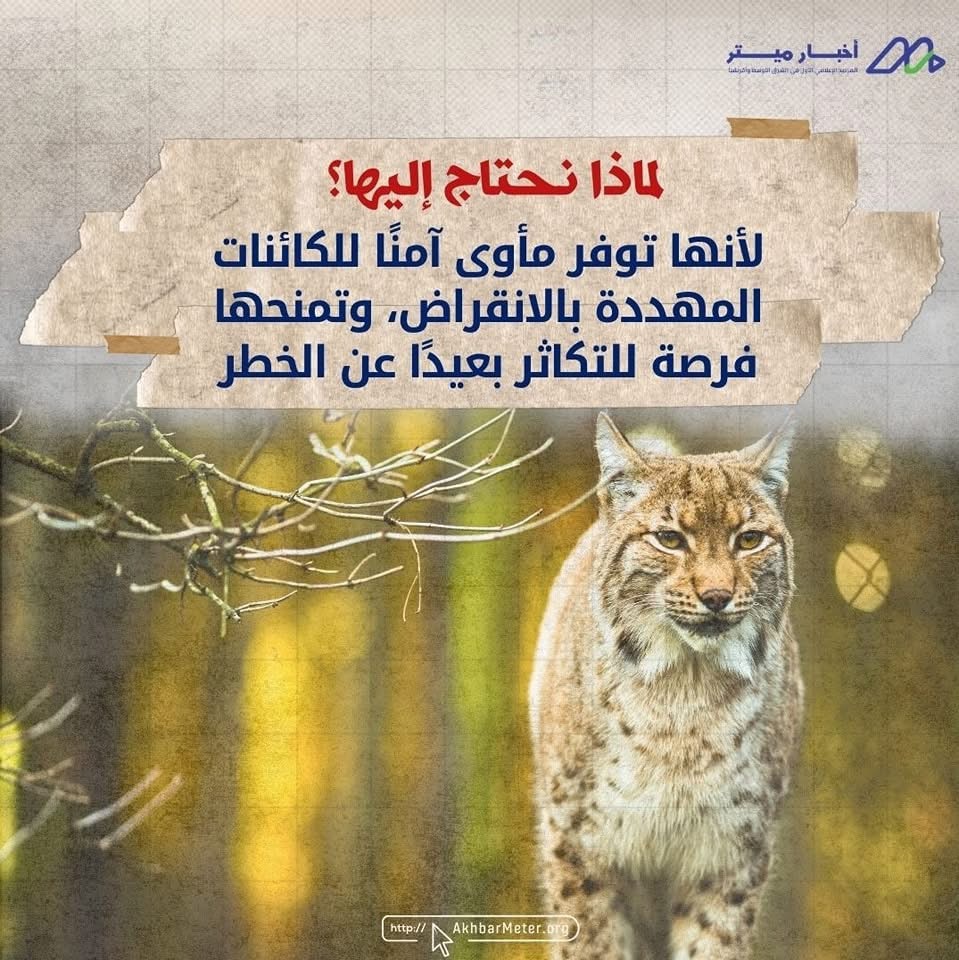 حين تتحدث الطبيعة بصوت هادئ... داخل المحميات