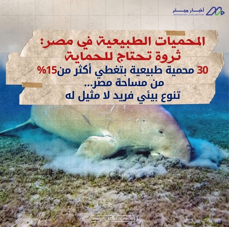 كنوز مصر الخضراء: داخل عالم المحميات الطبيعية