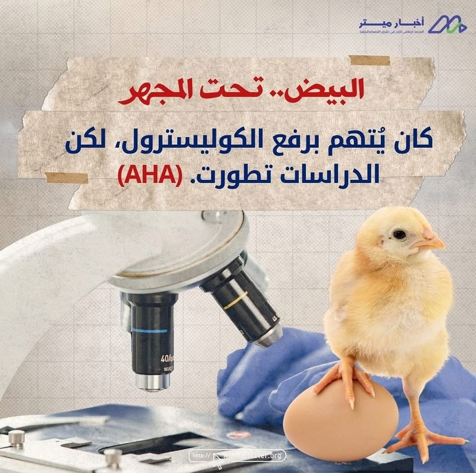 البيض: كنز غذائي في قشرة بسيطة