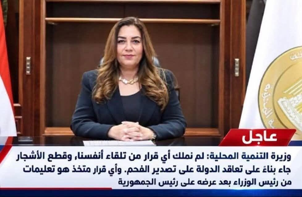 وزيرة التنمية المحلية: قطع الأشجار يحدث بسبب تصدير الفحم
