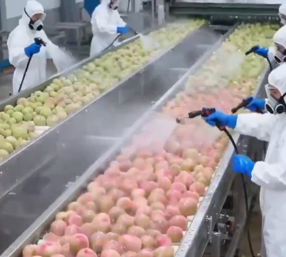 عمال مصانع يرشون الخضروات والفاكهة بالألوان الصناعية